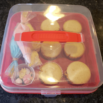 cupcake carry container